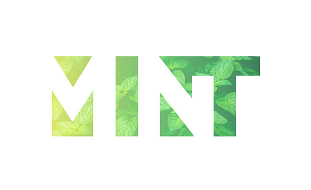 Mint Logotype
